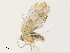  ( - CBG-A30063-G04)  @11 [ ] CreativeCommons - Attribution Share - Alike (2024) CBG Photography Group Centre for Biodiversity Genomics