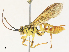  ( - CBG-A30064-C01)  @11 [ ] CreativeCommons - Attribution Share - Alike (2024) CBG Photography Group Centre for Biodiversity Genomics