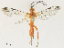  ( - CBG-A30064-C03)  @11 [ ] CreativeCommons - Attribution Share - Alike (2024) CBG Photography Group Centre for Biodiversity Genomics
