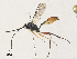  ( - CBG-A30064-G03)  @11 [ ] CreativeCommons - Attribution Share - Alike (2024) CBG Photography Group Centre for Biodiversity Genomics