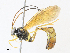  ( - CBG-A30128-A12)  @11 [ ] CreativeCommons - Attribution Share - Alike (2024) CBG Photography Group Centre for Biodiversity Genomics