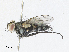  ( - CBG-A30128-G01)  @11 [ ] CreativeCommons - Attribution Share - Alike (2024) CBG Photography Group Centre for Biodiversity Genomics