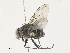  ( - CBG-A30946-D02)  @11 [ ] CreativeCommons - Attribution Share - Alike (2024) CBG Photography Group Centre for Biodiversity Genomics