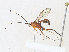  ( - CBG-A30947-C09)  @11 [ ] CreativeCommons - Attribution Share - Alike (2024) CBG Photography Group Centre for Biodiversity Genomics