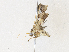  ( - CBG-A30947-E08)  @11 [ ] CreativeCommons - Attribution Share - Alike (2024) CBG Photography Group Centre for Biodiversity Genomics
