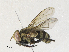  ( - CBG-A30948-E04)  @11 [ ] CreativeCommons - Attribution Share - Alike (2024) CBG Photography Group Centre for Biodiversity Genomics