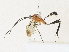  ( - CBG-A30948-G08)  @11 [ ] CreativeCommons - Attribution Share - Alike (2024) CBG Photography Group Centre for Biodiversity Genomics