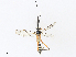  ( - CBG-A30994-C10)  @11 [ ] CreativeCommons - Attribution Share - Alike (2024) CBG Photography Group Centre for Biodiversity Genomics