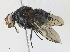  ( - CBG-A30994-F04)  @11 [ ] CreativeCommons - Attribution Share - Alike (2024) CBG Photography Group Centre for Biodiversity Genomics