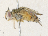  ( - CBG-A31757-B03)  @11 [ ] CreativeCommons - Attribution Share - Alike (2024) CBG Photography Group Centre for Biodiversity Genomics