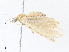  ( - CBG-A31757-B11)  @11 [ ] CreativeCommons - Attribution Share - Alike (2024) CBG Photography Group Centre for Biodiversity Genomics