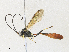  ( - CBG-A31758-C04)  @11 [ ] CreativeCommons - Attribution Share - Alike (2024) CBG Photography Group Centre for Biodiversity Genomics