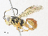  ( - CBG-A31758-C09)  @11 [ ] CreativeCommons - Attribution Share - Alike (2024) CBG Photography Group Centre for Biodiversity Genomics