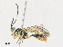  ( - CBG-A31758-G02)  @11 [ ] CreativeCommons - Attribution Share - Alike (2024) CBG Photography Group Centre for Biodiversity Genomics