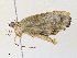  ( - CBG-A31759-A04)  @11 [ ] CreativeCommons - Attribution Share - Alike (2024) CBG Photography Group Centre for Biodiversity Genomics