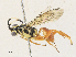  ( - CBG-A31760-A03)  @11 [ ] CreativeCommons - Attribution Share - Alike (2024) CBG Photography Group Centre for Biodiversity Genomics