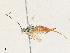  ( - CBG-A31760-C02)  @11 [ ] CreativeCommons - Attribution Share - Alike (2024) CBG Photography Group Centre for Biodiversity Genomics
