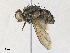  ( - CBG-A31760-E04)  @11 [ ] CreativeCommons - Attribution Share - Alike (2024) CBG Photography Group Centre for Biodiversity Genomics