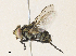  ( - CBG-A31760-H07)  @11 [ ] CreativeCommons - Attribution Share - Alike (2024) CBG Photography Group Centre for Biodiversity Genomics