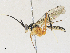  ( - CBG-A31761-C05)  @11 [ ] CreativeCommons - Attribution Share - Alike (2024) CBG Photography Group Centre for Biodiversity Genomics