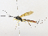  ( - CBG-A31761-G09)  @11 [ ] CreativeCommons - Attribution Share - Alike (2024) CBG Photography Group Centre for Biodiversity Genomics