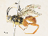  ( - CBG-A31761-H10)  @11 [ ] CreativeCommons - Attribution Share - Alike (2024) CBG Photography Group Centre for Biodiversity Genomics
