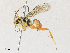  ( - CBG-A31762-B05)  @11 [ ] CreativeCommons - Attribution Share - Alike (2024) CBG Photography Group Centre for Biodiversity Genomics