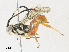  ( - CBG-A31762-C09)  @11 [ ] CreativeCommons - Attribution Share - Alike (2024) CBG Photography Group Centre for Biodiversity Genomics