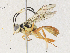  ( - CBG-A31762-E04)  @11 [ ] CreativeCommons - Attribution Share - Alike (2024) CBG Photography Group Centre for Biodiversity Genomics