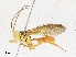  ( - CBG-A31763-F01)  @11 [ ] CreativeCommons - Attribution Share - Alike (2024) CBG Photography Group Centre for Biodiversity Genomics