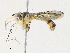  ( - CBG-A31829-B05)  @11 [ ] CreativeCommons - Attribution Share - Alike (2024) CBG Photography Group Centre for Biodiversity Genomics