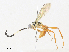  ( - CBG-A31829-E08)  @11 [ ] CreativeCommons - Attribution Share - Alike (2024) CBG Photography Group Centre for Biodiversity Genomics