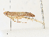  ( - CBG-A31829-G10)  @11 [ ] CreativeCommons - Attribution Share - Alike (2024) CBG Photography Group Centre for Biodiversity Genomics