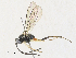  ( - CBG-A31830-G02)  @11 [ ] CreativeCommons - Attribution Share - Alike (2024) CBG Photography Group Centre for Biodiversity Genomics
