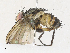  ( - CBG-A31831-A06)  @11 [ ] CreativeCommons - Attribution Share - Alike (2024) CBG Photography Group Centre for Biodiversity Genomics