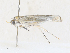  ( - CBG-A31831-F01)  @11 [ ] CreativeCommons - Attribution Share - Alike (2024) CBG Photography Group Centre for Biodiversity Genomics