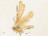  ( - CBG-A31831-H07)  @11 [ ] CreativeCommons - Attribution Share - Alike (2024) CBG Photography Group Centre for Biodiversity Genomics