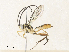  ( - CBG-A31831-H08)  @11 [ ] CreativeCommons - Attribution Share - Alike (2024) CBG Photography Group Centre for Biodiversity Genomics
