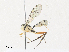  ( - CBG-A31832-A06)  @11 [ ] CreativeCommons - Attribution Share - Alike (2024) CBG Photography Group Centre for Biodiversity Genomics
