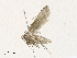  ( - CBG-A31832-D02)  @11 [ ] CreativeCommons - Attribution Share - Alike (2024) CBG Photography Group Centre for Biodiversity Genomics