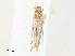  ( - CBG-A31832-E02)  @11 [ ] CreativeCommons - Attribution Share - Alike (2024) CBG Photography Group Centre for Biodiversity Genomics