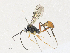  ( - CBG-A33501-C04)  @11 [ ] CreativeCommons - Attribution Share - Alike (2024) CBG Photography Group Centre for Biodiversity Genomics