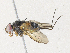  ( - CBG-A33501-D04)  @11 [ ] CreativeCommons - Attribution Share - Alike (2024) CBG Photography Group Centre for Biodiversity Genomics