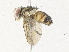  ( - CBG-A34309-B04)  @11 [ ] CreativeCommons - Attribution Share - Alike (2024) CBG Photography Group Centre for Biodiversity Genomics