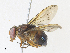  ( - CBG-A30956-B11)  @11 [ ] CreativeCommons - Attribution Share - Alike (2024) CBG Photography Group Centre for Biodiversity Genomics