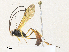  (ichJanzen01 Janzen9105 - CBG-A30956-C02)  @11 [ ] CreativeCommons - Attribution Share - Alike (2024) CBG Photography Group Centre for Biodiversity Genomics