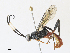  ( - CBG-A30996-G11)  @11 [ ] CreativeCommons - Attribution Share - Alike (2024) CBG Photography Group Centre for Biodiversity Genomics