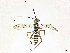  ( - CBG-A30996-H02)  @11 [ ] CreativeCommons - Attribution Share-Alike (2024) CBG Photography Group Centre for Biodiversity Genomics