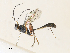  ( - CBG-A30996-H08)  @11 [ ] CreativeCommons - Attribution Share - Alike (2024) CBG Photography Group Centre for Biodiversity Genomics