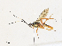  ( - CBG-A31773-H01)  @11 [ ] CreativeCommons - Attribution Share - Alike (2024) CBG Photography Group Centre for Biodiversity Genomics